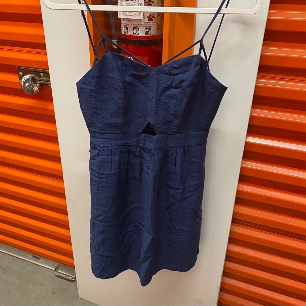 BCBG Dress